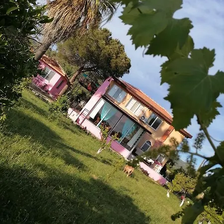 Apartment Heavenly